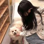 沙场死战折戟游戏